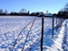 Campagne