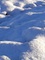 traces dans la neige